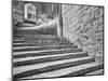 England, Wells Cathedral Chapter House Stairs-John Ford-Mounted Photographic Print