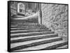 England, Wells Cathedral Chapter House Stairs-John Ford-Framed Stretched Canvas