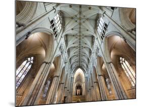 England, Yorkshire, York, York Minster, the Nave-Steve Vidler-Mounted Photographic Print