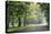 Englischer Garten in Munich-Stefano Amantini-Stretched Canvas