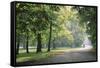 Englischer Garten in Munich-Stefano Amantini-Framed Stretched Canvas