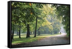 Englischer Garten in Munich-Stefano Amantini-Framed Stretched Canvas