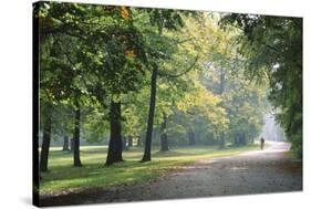 Englischer Garten in Munich-Stefano Amantini-Stretched Canvas