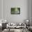 Englischer Garten in Munich-Stefano Amantini-Framed Stretched Canvas displayed on a wall