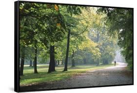 Englischer Garten in Munich-Stefano Amantini-Framed Stretched Canvas