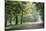 Englischer Garten in Munich-Stefano Amantini-Stretched Canvas