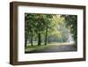 Englischer Garten in Munich-Stefano Amantini-Framed Premium Photographic Print