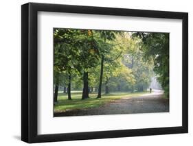 Englischer Garten in Munich-Stefano Amantini-Framed Premium Photographic Print