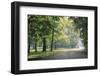 Englischer Garten in Munich-Stefano Amantini-Framed Premium Photographic Print