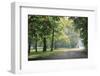 Englischer Garten in Munich-Stefano Amantini-Framed Premium Photographic Print