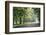 Englischer Garten in Munich-Stefano Amantini-Framed Photographic Print