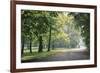 Englischer Garten in Munich-Stefano Amantini-Framed Photographic Print