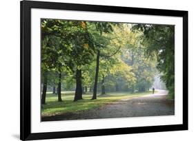 Englischer Garten in Munich-Stefano Amantini-Framed Photographic Print