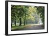 Englischer Garten in Munich-Stefano Amantini-Framed Photographic Print