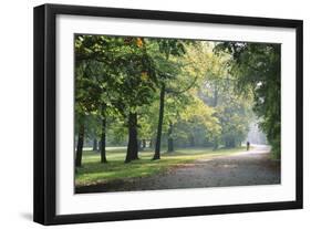 Englischer Garten in Munich-Stefano Amantini-Framed Photographic Print