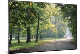 Englischer Garten in Munich-Stefano Amantini-Mounted Photographic Print