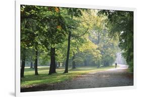 Englischer Garten in Munich-Stefano Amantini-Framed Photographic Print