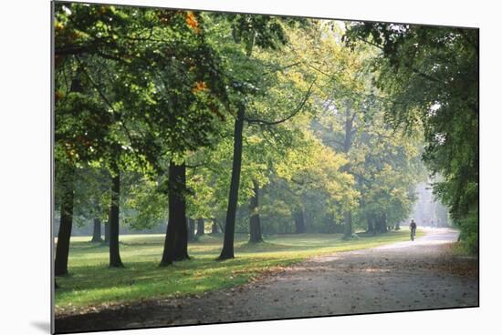 Englischer Garten in Munich-Stefano Amantini-Mounted Photographic Print