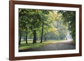 Englischer Garten in Munich-Stefano Amantini-Framed Photographic Print