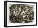 Black Frame