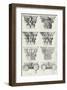 English Architectural V-The Vintage Collection-Framed Giclee Print