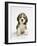 English Beagle Puppy Sitting-null-Framed Photographic Print