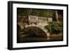 English Bridge II-Kevin Calaguiro-Framed Art Print