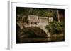 English Bridge II-Kevin Calaguiro-Framed Art Print