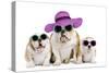 English Bulldog Adult and Puppies Wearing-null-Stretched Canvas