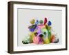 English Bulldog and Birds, Rainbow Splash-Fab Funky-Framed Art Print