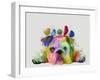 English Bulldog and Birds, Rainbow Splash-Fab Funky-Framed Art Print