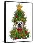 English Bulldog, Christmas Tree Costume-Fab Funky-Framed Stretched Canvas