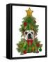 English Bulldog, Christmas Tree Costume-Fab Funky-Framed Stretched Canvas