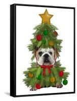 English Bulldog, Christmas Tree Costume-Fab Funky-Framed Stretched Canvas