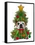 English Bulldog, Christmas Tree Costume-Fab Funky-Framed Stretched Canvas