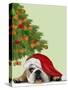 English Bulldog, Cookie Tree-Fab Funky-Stretched Canvas