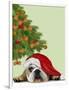 English Bulldog, Cookie Tree-Fab Funky-Framed Art Print