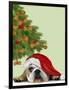English Bulldog, Cookie Tree-Fab Funky-Framed Art Print