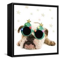 English Bulldog Lying Down Wearing Christmas Glasses-null-Framed Stretched Canvas
