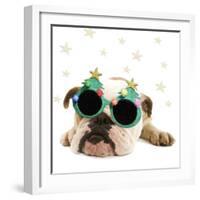 English Bulldog Lying Down Wearing Christmas Glasses-null-Framed Photographic Print