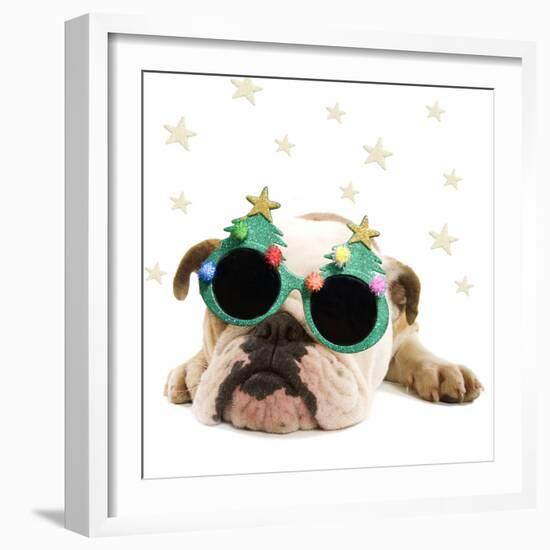 English Bulldog Lying Down Wearing Christmas Glasses-null-Framed Photographic Print