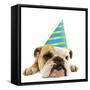 English Bulldog Lying Down Wearing Party Hat-null-Framed Stretched Canvas