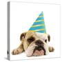 English Bulldog Lying Down Wearing Party Hat-null-Stretched Canvas