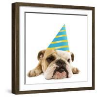 English Bulldog Lying Down Wearing Party Hat-null-Framed Photographic Print