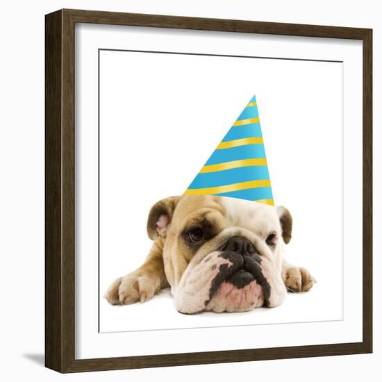 English Bulldog Lying Down Wearing Party Hat-null-Framed Photographic Print