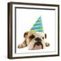 English Bulldog Lying Down Wearing Party Hat-null-Framed Photographic Print