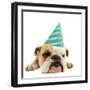 English Bulldog Lying Down Wearing Party Hat-null-Framed Photographic Print