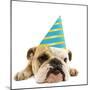 English Bulldog Lying Down Wearing Party Hat-null-Mounted Photographic Print