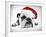 English Bulldog Lying in Studio Wearing a Christmas Hat-null-Framed Photographic Print