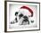 English Bulldog Lying in Studio Wearing a Christmas Hat-null-Framed Photographic Print